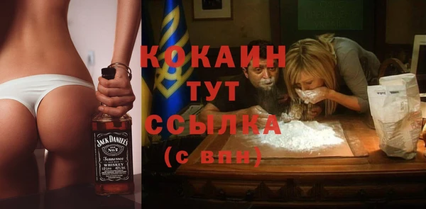 соль ск Богородицк