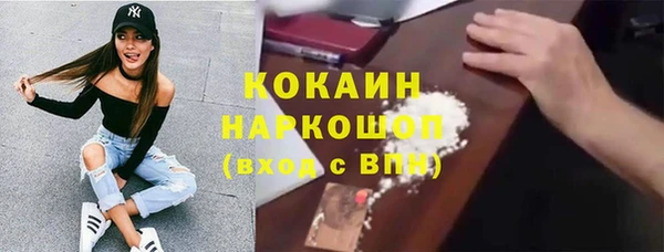 соль ск Богородицк