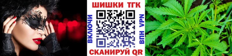 Бошки марихуана индика  Петрозаводск 